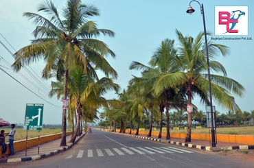 Saligao (6)